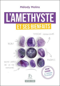 AMETHYSTE ET SES BIENFAITS