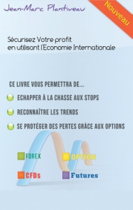 L'intelligence artificielle de mon banquier!. Essai économique post-moderne - Plantiveau Jean-marc