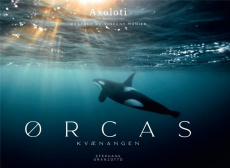 Orcas. Kvaenangen, Edition bilingue français-anglais - Granzotto Stéphane ; Munier Vincent