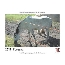 PUR SANG 2019 CALENDRIER DE BUREAU TIMOKRATES CALENDRIER PHOTO CALENDRIER PHOTO - TIMOKRATES VERL