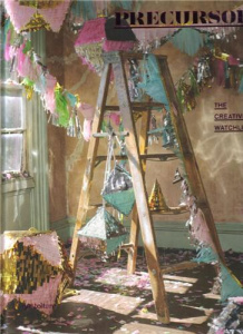 THE BEAUTY OF TRANSGRESSION A BERLIN MEMOIR /ANGLAIS - PICCIOTTIO DANIELLE