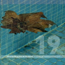 Artistes de la Casa de Velazquez. Académie de France à Madrid, Edition 2019, Edition français-anglai - Figuier Richard