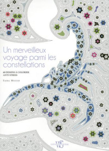 Un merveilleux voyage parmi les constellations - Muzio Sara