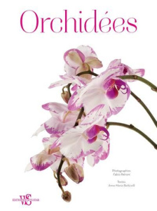 Orchidées - Petroni Fabio ; Botticelli Anna Maria ; Tron-Mulde