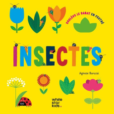 Insectes - Baruzzi Agnese