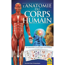 L'anatomie du corps humain. 24 grandes planches illustrées - Naccarato Chiara ; Rossi Romina ; Di Stefano Maryl