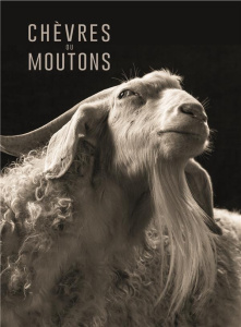 Chèvres ou moutons - Horan Kevin ; Passarello Elena ; Tron-Mulder Cathe