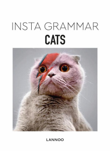 INSTA GRAMMAR - CATS - IRENE SCHAMPAERT