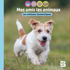 Les animaux domestiques - Rypens An