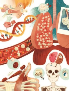 Le corps humain. Un monde de merveilles - Rambaldi Max