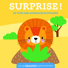 Je vois les animaux sauvages