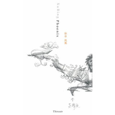 Phoenix - Xu Bing