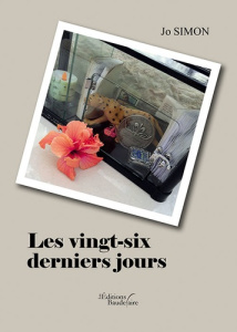 Les vingt-six derniers jours - Simon Jo