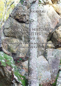Nouvelle histoire des celtes. Tome 2 - LE TOURNEAU Bertrand