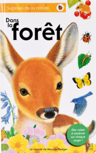 Dans la forêt - Wood Amanda - Pledger Maurice - Fraisse Frédérique