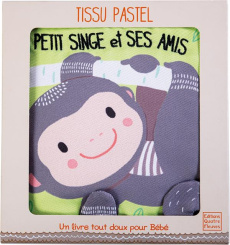 Petit singe et ses amis - Ferri Francesca ; Pâquerette Peggy