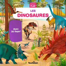 Les dinosaures - Dussaussois Sophie ; Dallé-Asté Stéphanie
