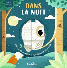 Dans la nuit. Tourne la page et observe la transformation des animaux - Stone Harriet ; Partington David