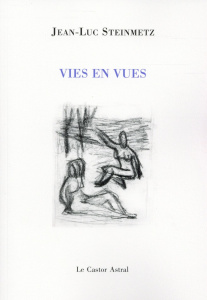 Vies en vue - Steinmetz Jean-Luc