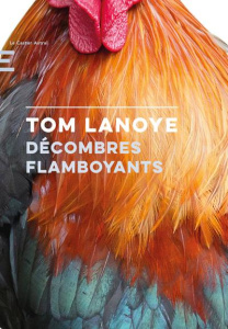 Décombres flamboyants - Lanoye Tom ; Van Crugten Alain
