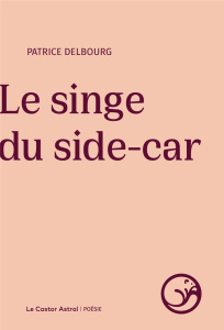 Le singe du side-car - Delbourg Patrice