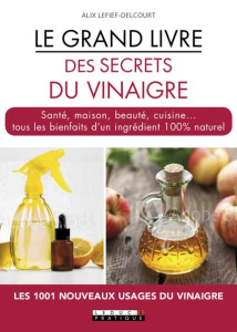 Le grand livre des secrets du vinaigre - Lefief-Delcourt Alix