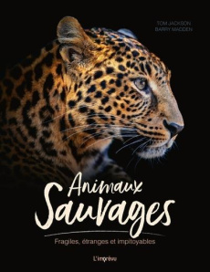 Animaux sauvages. Fragiles, étranges et impitoyables - Jackson Tom ; Madden Barry ; Feugeas Valérie ; Aub