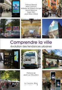 Comprendre la ville. Evolution des tendances urbaines - Besozzi Thibaut ; Dumont Marc ; Maison Rouge Isabe
