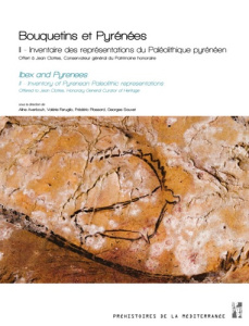 Bouquetins et Pyrénées. Tome 2, Inventaire des représentations du Paléolithique pyrénéen - Offert à - Averbouh Aline ; Feruglio Valérie ; Plassard Frédé