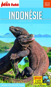 Petit Futé Indonésie. Edition 2019-2020 - AUZIAS/LABOURDETTE