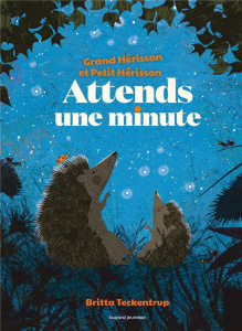Grand Hérisson et Petit Hérisson : Attends une minute ! - Teckentrup Britta ; Bideault Anne