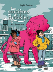 Les sorcières de Brooklyn Tome 2 : Avis de tempête - Escabasse Sophie