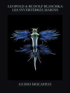 Leopold & Rudolf Blaschka. Les invértébrés marins, Edition numérotée - Mocafico Guido ; Roche Delphine