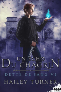 Dette de sang. Tome 6, Un écho du chagrin - Turner Hailey
