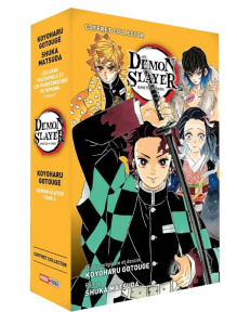 Demon Slayer : Coffret collector Tome 4   Roman jeunesse Tome 2 - Gotouge Koyoharu ; Matsuda Shuka