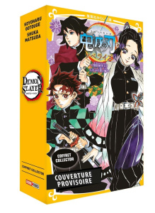 Demon Slayer : Coffret en 2 volumes : Demon slayer tome 15 et Demon slayer roman tome 6, L'assaut de - Gotouge Koyoharu ; Matsuda Shuka ; Daumarie Xavièr