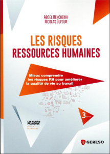 Les risques ressources humaines. Mieux les comprendre pour améliorer la qualité de vie au travail - Bencheikh Abdel ; Dufour Nicolas