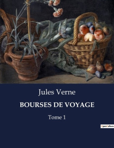 Bourses de voyage. Une aventure éducative à travers les îles des Caraïbes - Verne Jules