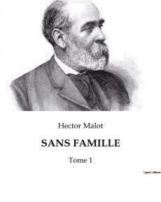 Sans famille. Tome 1 - Malot Hector