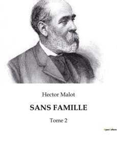 Sans famille. Tome 2 - Malot Hector