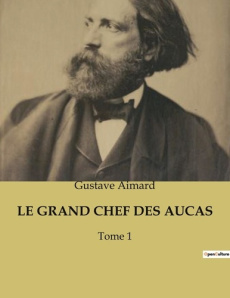 Le grand chef des aucas. Une épopée transition au coeur des terres araucaniennes - Aimard Gustave