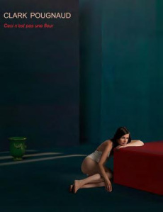 Ceci n´est pas une fleur... Edition bilingue français-anglais - Clark Christophe ; Pougnaud Virginie ; Giscard d'E