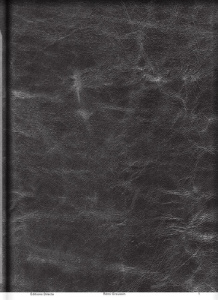 Rémi Groussin. Edition bilingue français-anglais - COLLECTIF