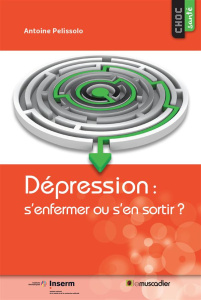 Depression - pelissolo