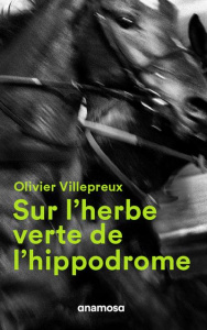 Sur l'herbe verte de l'hippodrome - Villepreux Olivier