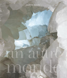 Un autre monde. Edition bilingue français-anglais - Agnel Juliette ; Ponsa Marta ; Aumont Jacques ; Ha