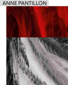 Anne Pantillon. Edition bilingue français-anglais - Chaix Nathalie ; Currat Corinne ; Fankhauser Pierr