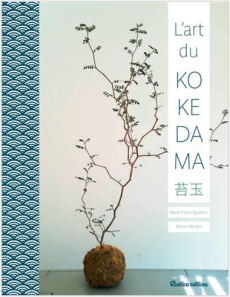 L'art du kokedama - Baudoin Marie-Pierre ; Bénard Adrien ; Curt Claire
