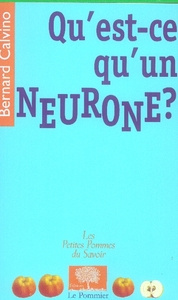 Qu'est-ce qu'un neurone ? - Calvino Bernard