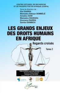 Les grands enjeux des droits humains en Afrique. Regards croisés, Tome 2 - Diarra Eloi ; Dembele Mamadou Bakaye ; Sow Amadou